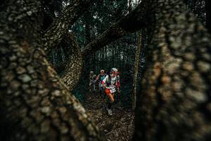 BIB: 
                            <button type="button" onclick="openModal(25679973)" class="btn btn-primary btn-sm float-right btn-popup" data-toggle="modal" data-target=".modal-high-quality">
                        <i class="fas fa-shopping-cart"></i> Add to Cart
                    </button>
                                            <button type="button" onclick="isThisMe(25679973, true)" class="btn btn-success btn-sm float-right btn-popup btn-isme hidden" data-toggle="tooltip" data-placement="bottom" title="นี่คือรูปของคุณใช่ไหม คลิกที่นี่เพื่อเอาเข้าอัลบั้ม">
                        <i class="fas fa-plus"></i> Add to album
                    </button>
                    <button type="button" onclick="isThisMe(25679973, false)" class="btn btn-warning btn-sm float-right btn-popup btn-isnotme hidden">
                        <i class="fas fa-ban"></i> Remove from album
                    </button>